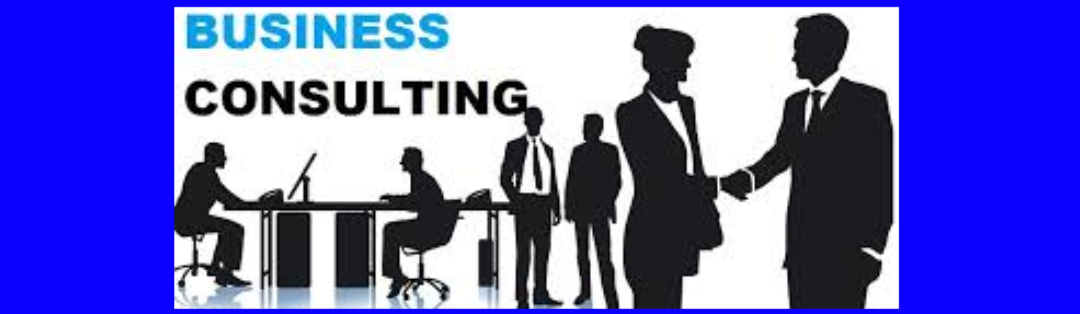 Business Consultants